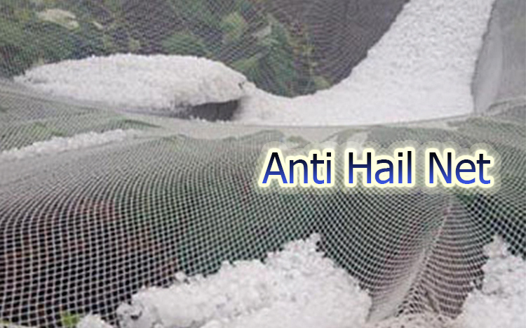 Fungsi Anti Hail Net