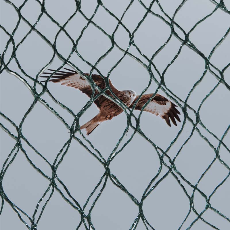 Apa pilihan materi lan kaluwihan lan kekurangan jaring pencegahan manuk?