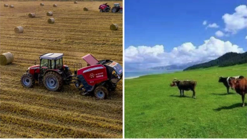 Aplikasi bungkus jaring bale ing kegiatan pertanian