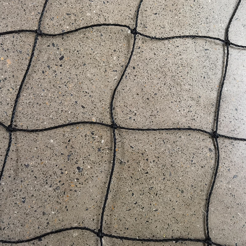 Peranan jaring jangkrik