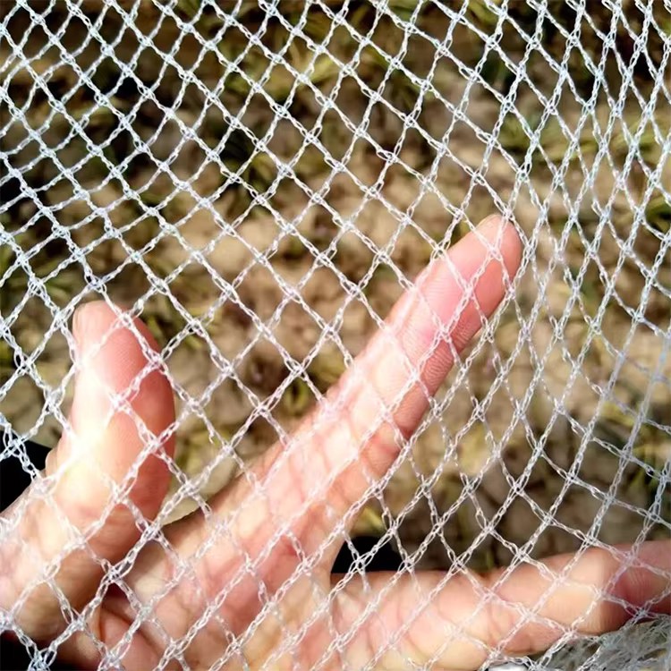 Anti-Hail Polyethylene Bird Protection Netting karo Plastik Mesh Custom Cut kanggo Agriculture Anti-Hail Polyethylene Bird Protection Netting karo Plastik Mesh Custom Cut kanggo Agriculture