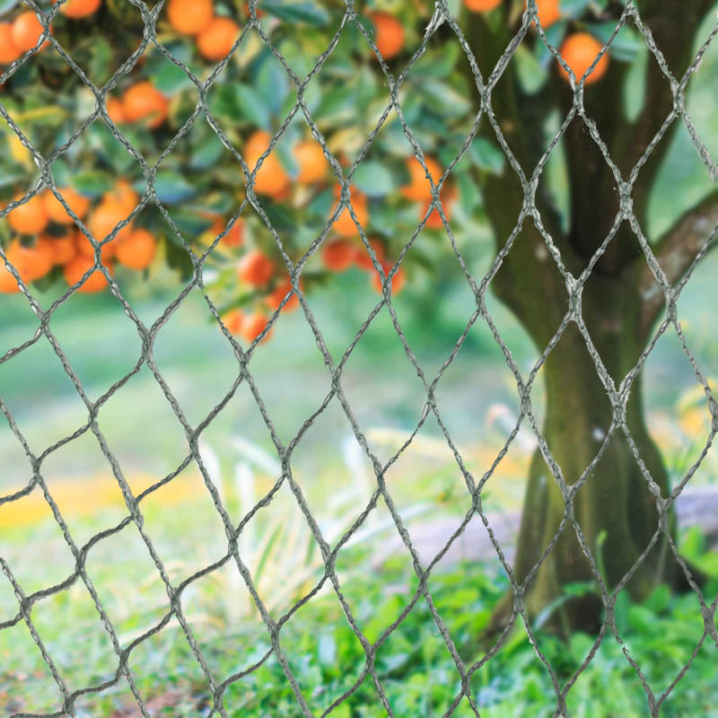 Barrier Kewan Jaring Manuk