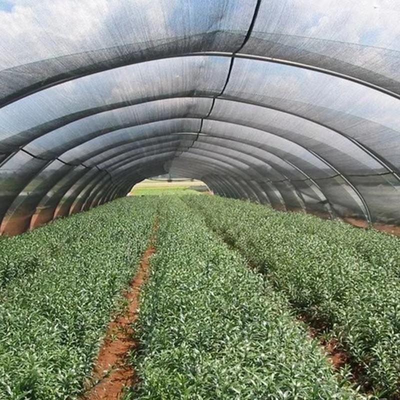 Kain iyub-iyub Taman Kanggo Tanduran 40% Sunshine Diblokir