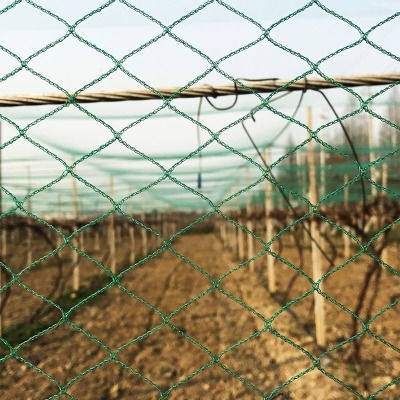 Greenhouse Anti-manuk Net