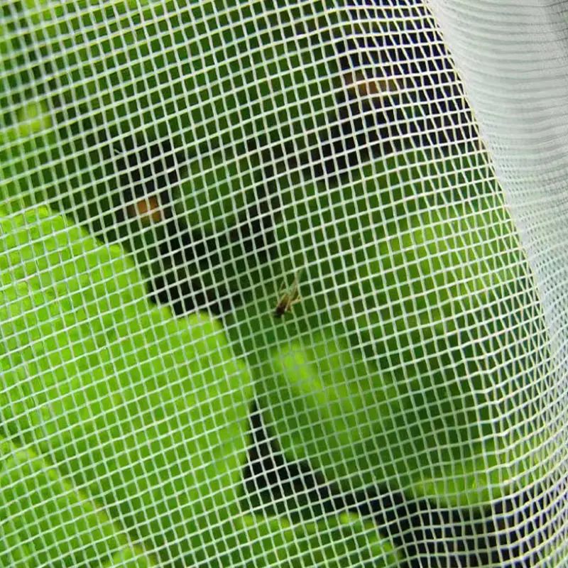 Insect Net kanggo Windows